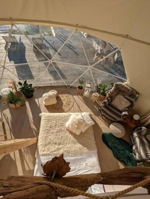 Beautiful Located Dome Otel Wapnica  Dış mekan fotoğraf